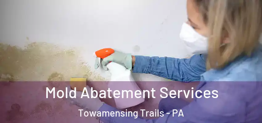 Mold Abatement Services Towamensing Trails - PA