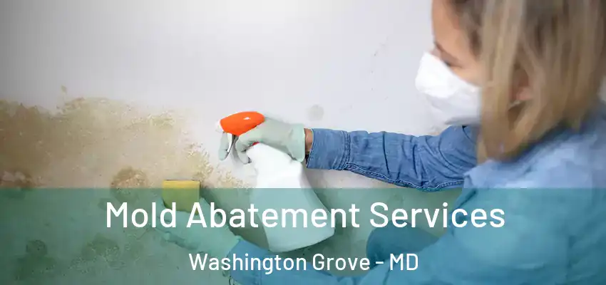 Mold Abatement Services Washington Grove - MD
