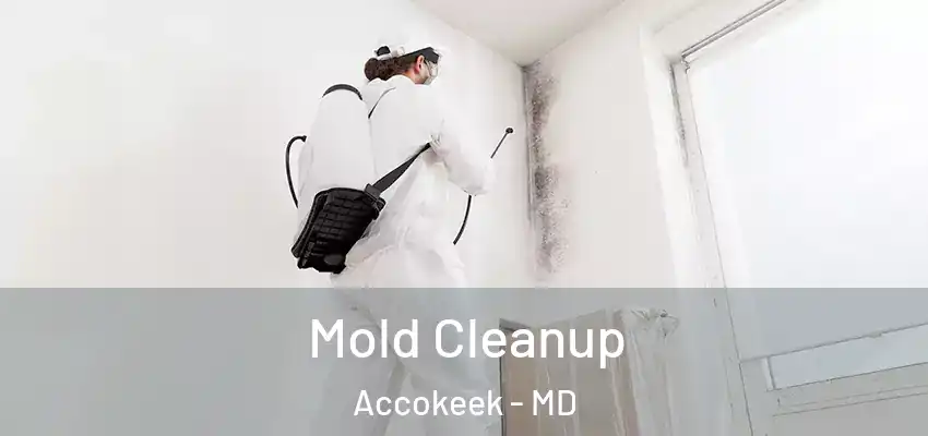 Mold Cleanup Accokeek - MD