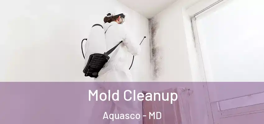  Mold Cleanup Aquasco - MD