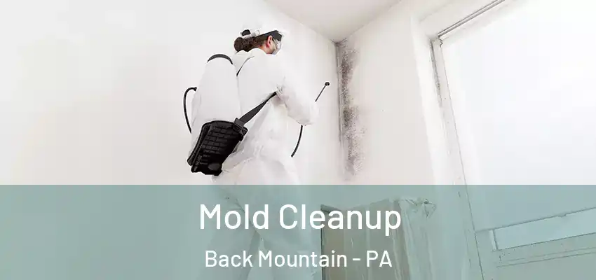  Mold Cleanup Back Mountain - PA