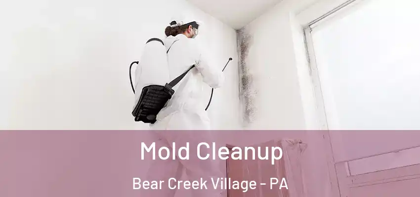 Mold Cleanup Bear Creek Village - PA