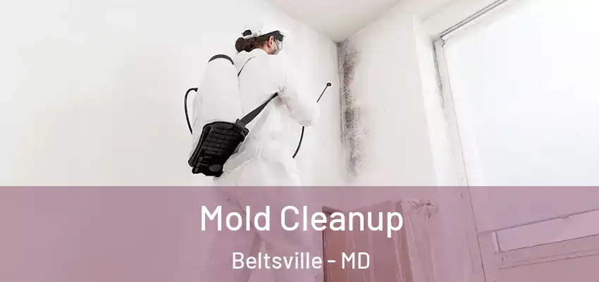 Mold Cleanup Beltsville - MD