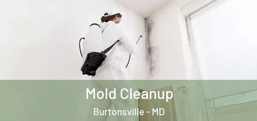 Mold Cleanup Burtonsville - MD