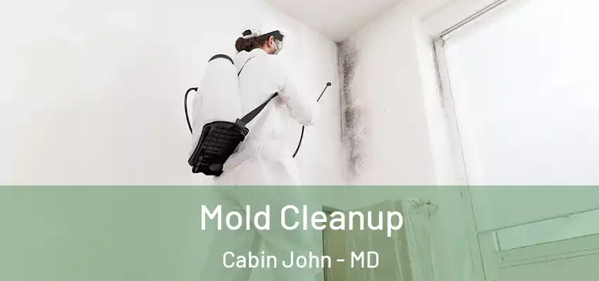  Mold Cleanup Cabin John - MD