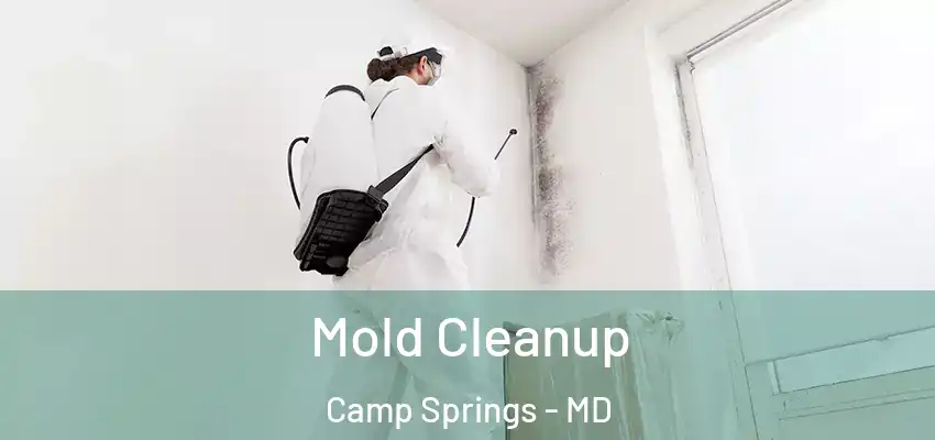  Mold Cleanup Camp Springs - MD