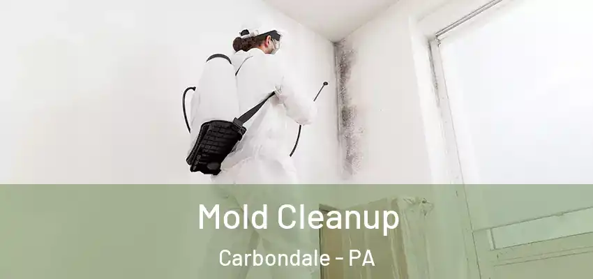  Mold Cleanup Carbondale - PA