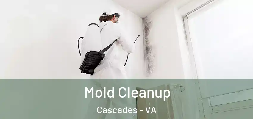  Mold Cleanup Cascades - VA