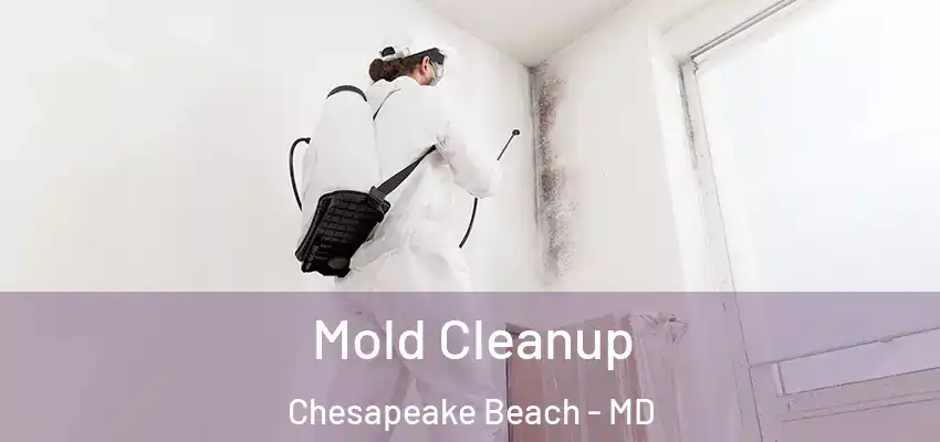 Mold Cleanup Chesapeake Beach - MD
