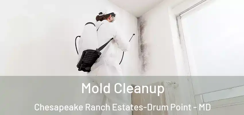 Mold Cleanup Chesapeake Ranch Estates-Drum Point - MD