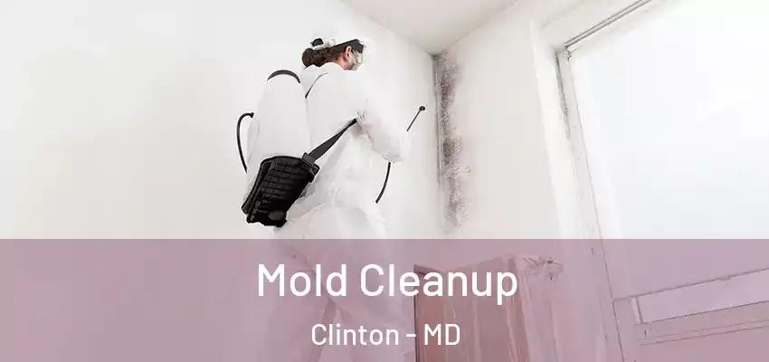  Mold Cleanup Clinton - MD