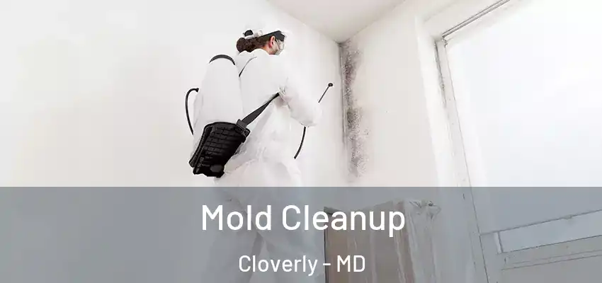  Mold Cleanup Cloverly - MD