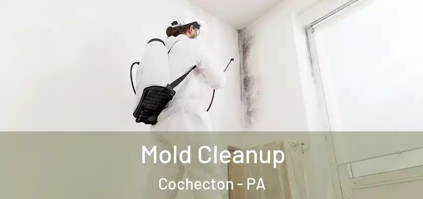  Mold Cleanup Cochecton - PA