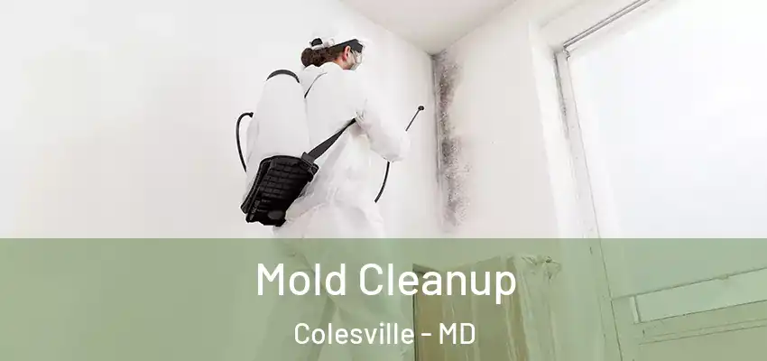  Mold Cleanup Colesville - MD