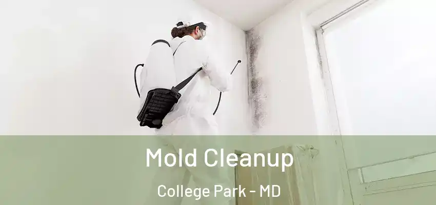  Mold Cleanup College Park - MD