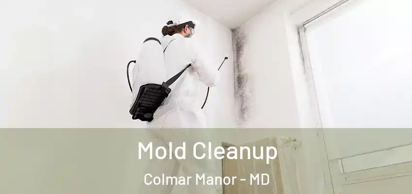 Mold Cleanup Colmar Manor - MD