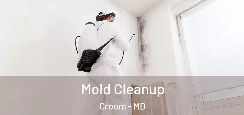  Mold Cleanup Croom - MD