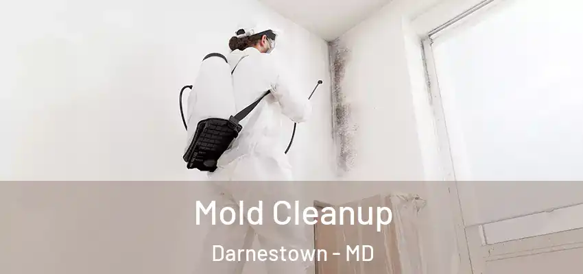 Mold Cleanup Darnestown - MD