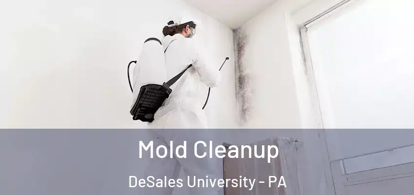  Mold Cleanup DeSales University - PA