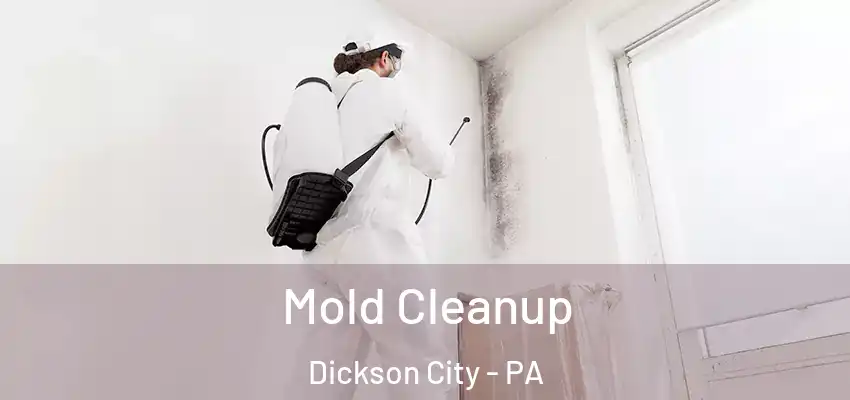 Mold Cleanup Dickson City - PA