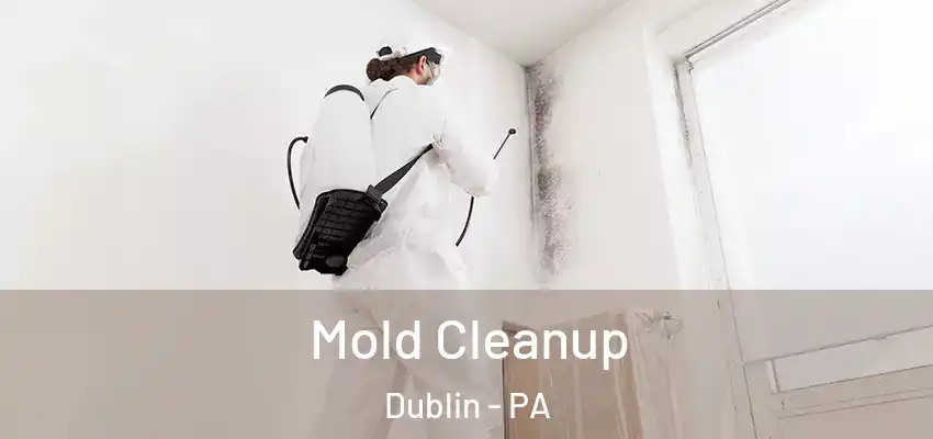 Mold Cleanup Dublin - PA