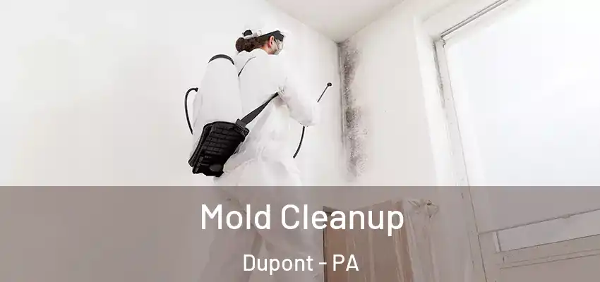 Mold Cleanup Dupont - PA
