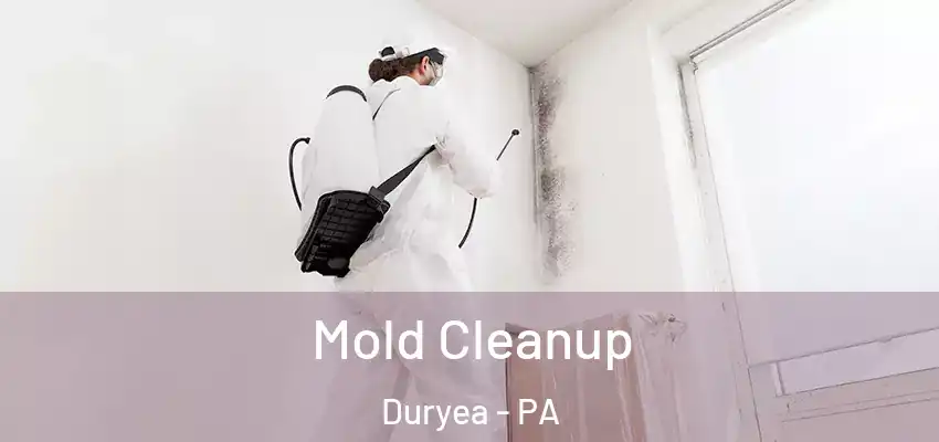 Mold Cleanup Duryea - PA