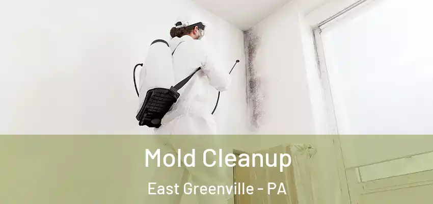 Mold Cleanup East Greenville - PA