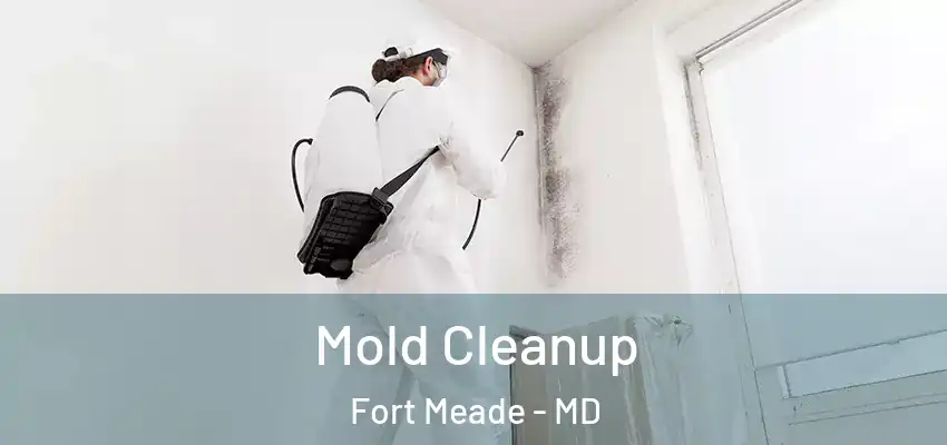 Mold Cleanup Fort Meade - MD