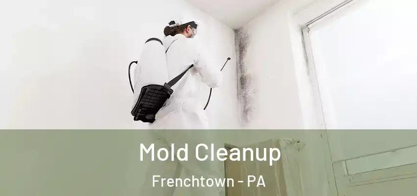 Mold Cleanup Frenchtown - PA
