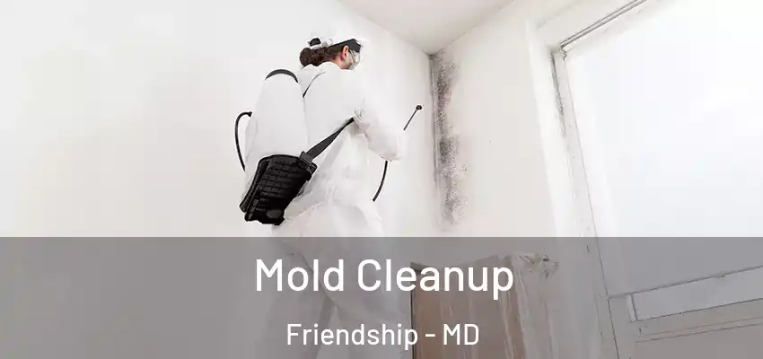 Mold Cleanup Friendship - MD