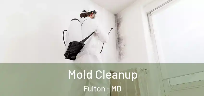 Mold Cleanup Fulton - MD
