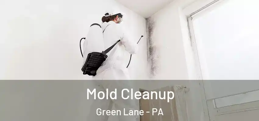 Mold Cleanup Green Lane - PA