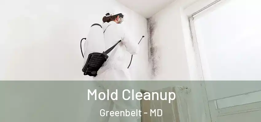 Mold Cleanup Greenbelt - MD