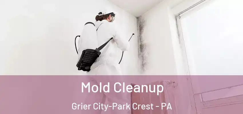 Mold Cleanup Grier City-Park Crest - PA