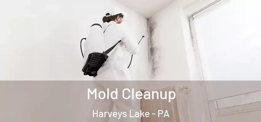 Mold Cleanup Harveys Lake - PA
