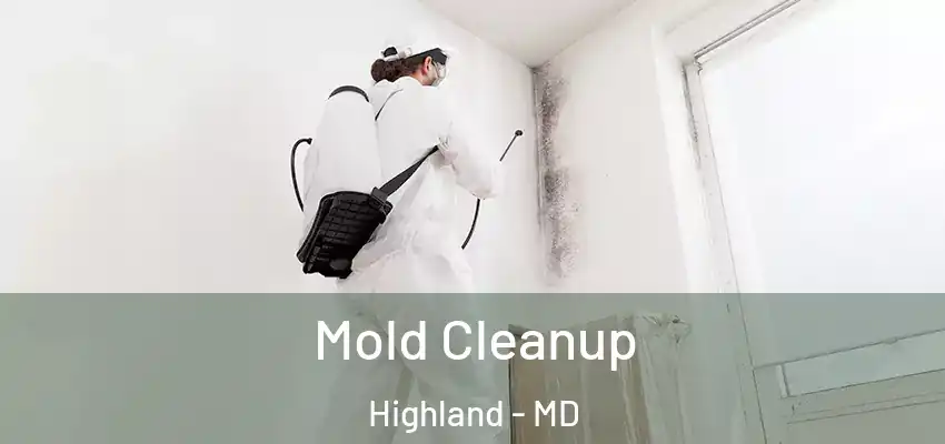 Mold Cleanup Highland - MD