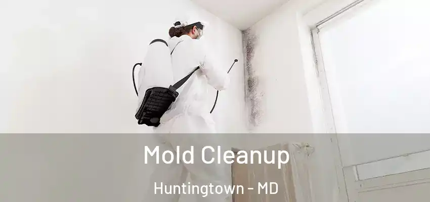 Mold Cleanup Huntingtown - MD