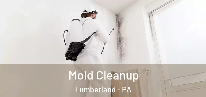 Mold Cleanup Lumberland - PA
