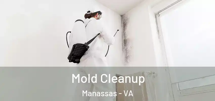 Mold Cleanup Manassas - VA