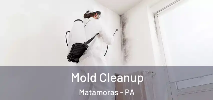 Mold Cleanup Matamoras - PA
