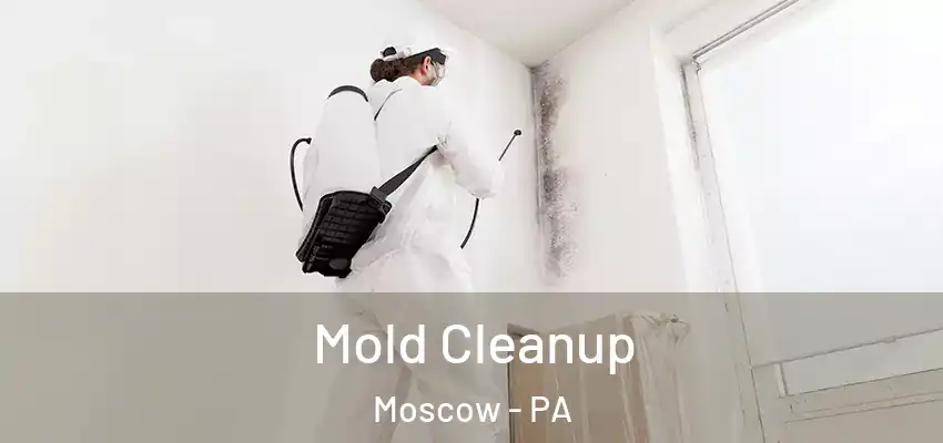  Mold Cleanup Moscow - PA