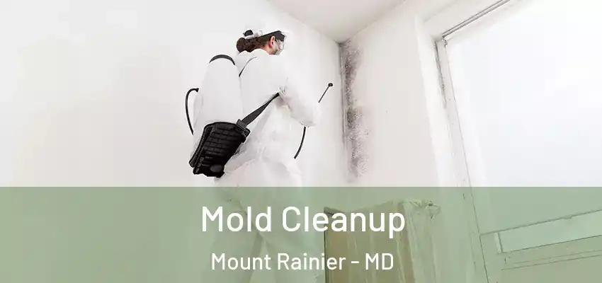 Mold Cleanup Mount Rainier - MD