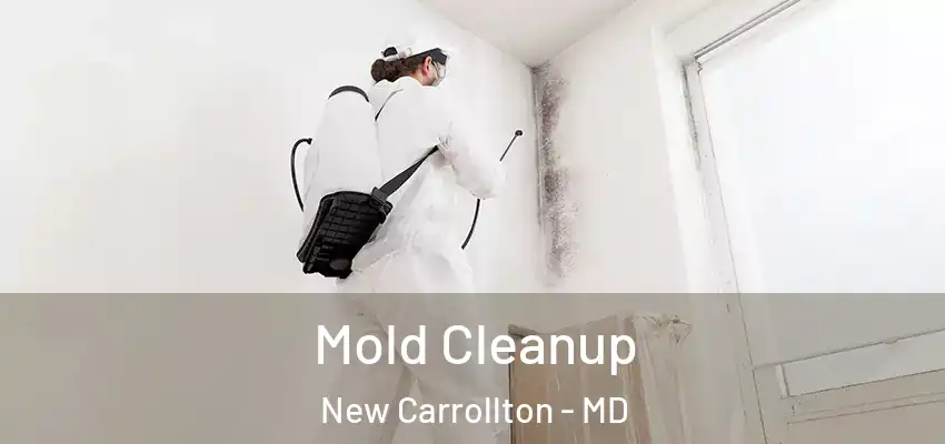  Mold Cleanup New Carrollton - MD