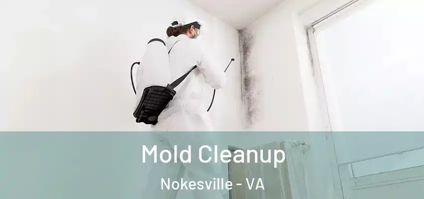Mold Cleanup Nokesville - VA
