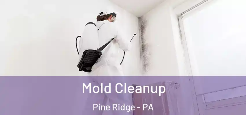 Mold Cleanup Pine Ridge - PA