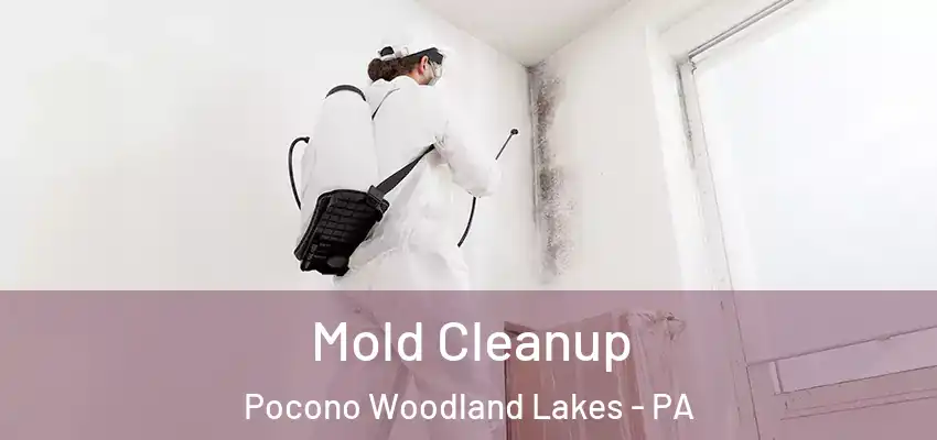 Mold Cleanup Pocono Woodland Lakes - PA