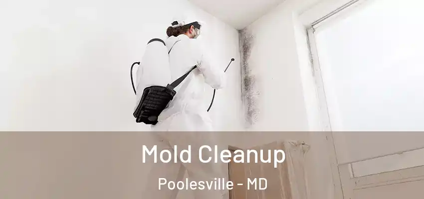  Mold Cleanup Poolesville - MD