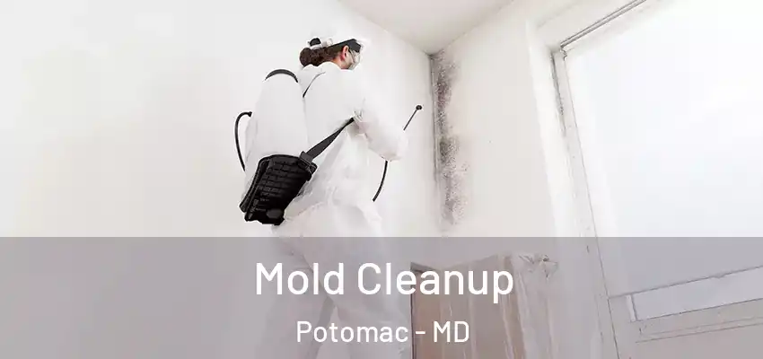 Mold Cleanup Potomac - MD