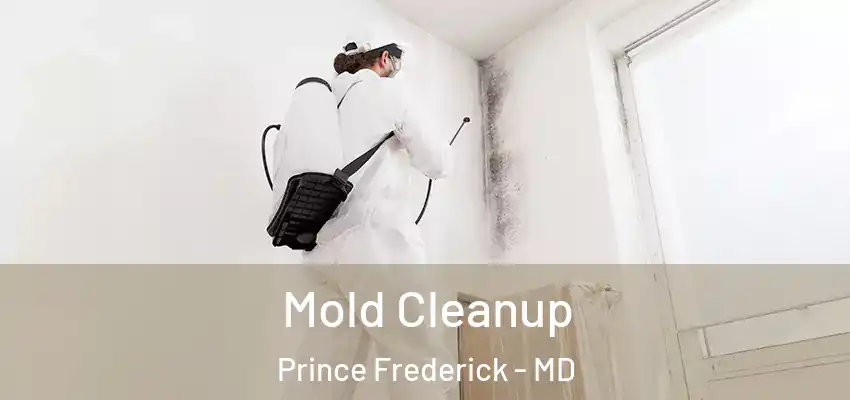 Mold Cleanup Prince Frederick - MD